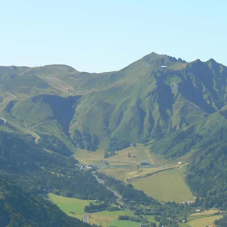 Jumelia